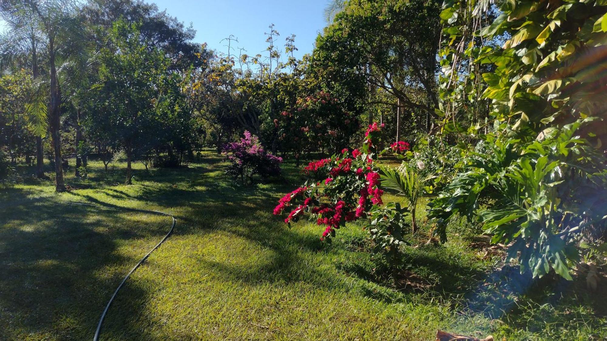 Camping Das Aguas Pirenópolis Exteriör bild