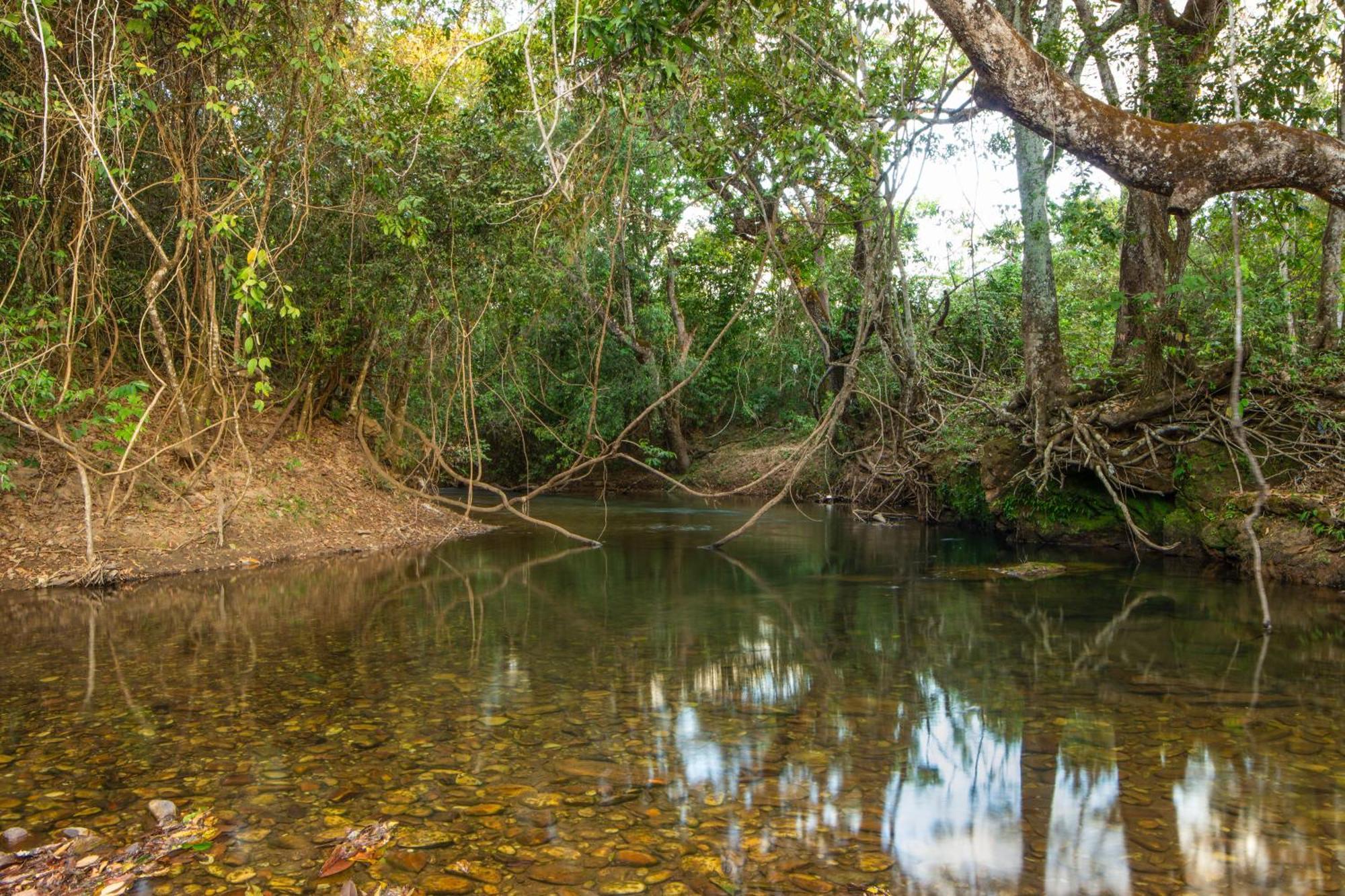 Camping Das Aguas Pirenópolis Exteriör bild